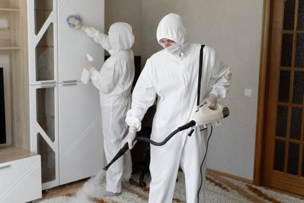 Best Toxic Mold Removal  in Bowleys Quarters, MD