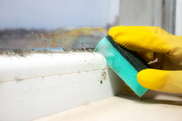 Best Mold Cleaning Services  in Bowleys Quarters, MD