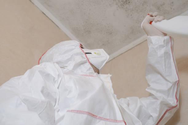 Best Office Mold Removal Services  in Bowleys Quarters, MD